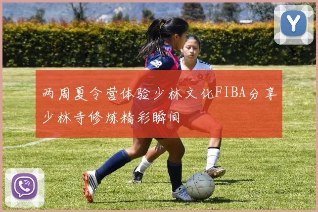 两周夏令营体验少林文化FIBA分享少林寺修炼精彩瞬间